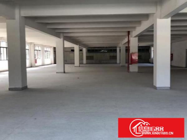 顺德全新厂房、可办环评