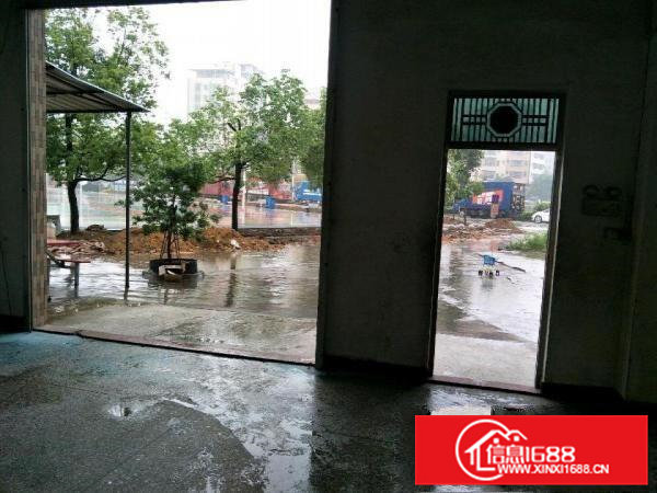 大朗镇水平村厂房出租