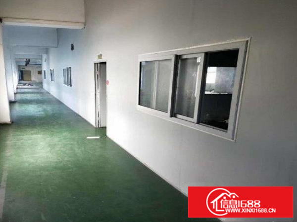 坪地盐龙大道新出1楼800平方厂房带装修采光好