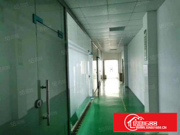 塘头新出带装修电子厂1260平方厂房出租，可随时看，可分租，