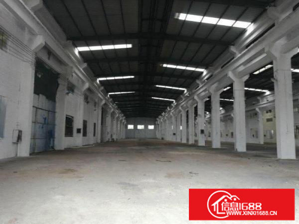 笋盘！里水1000平米单一层厂房招租！到顶12米高