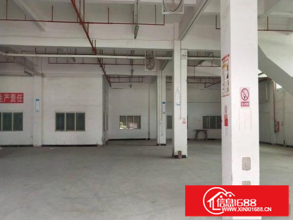 马安1楼1400平米标准工业园厂房出租