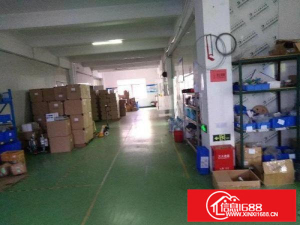 16元形象超靓独院5100平坪山