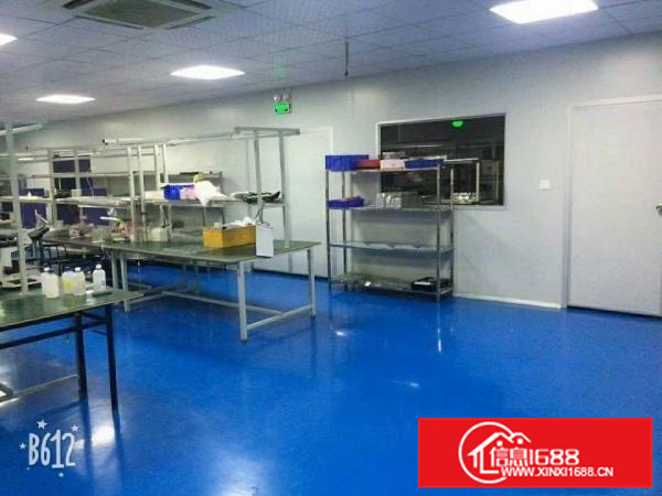 惠阳新圩东风新出1600平千级无尘车间低价出租