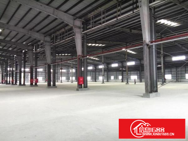 容桂独院厂房5600方，空地4000方可单租电大