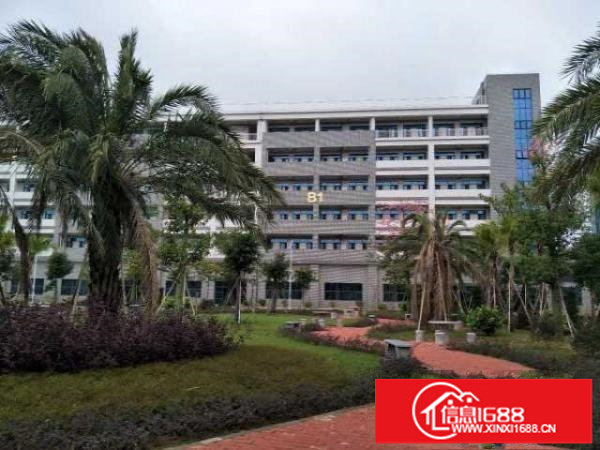 （可做化工）中山市化工园区10万方厂房出租