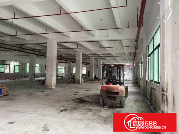 寮步原房东独院标准厂房1350出租，交通方便，面积足够无公摊