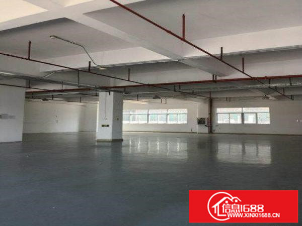 龙岗宝龙新出独院楼上整层豪华装修3300平出租