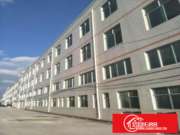 龙岗坪地60000平米厂房出租，可分租