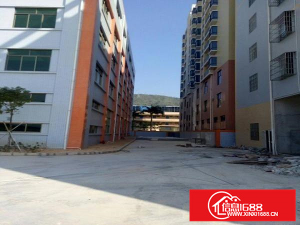 新出原房东独栋8000平火爆招租