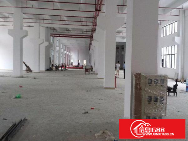 凤岗全新大型独院厂房出租39500平方近深圳平湖