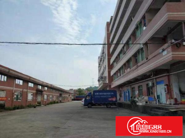 荷坳工业区一楼1200平原房东无公摊，非常适合仓库厂房