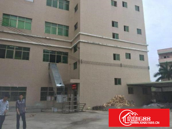 惠阳原房东独院5400平方租12元