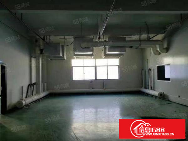 大朗镇新出14800平方独院厂房出租，工业园精装修可分租