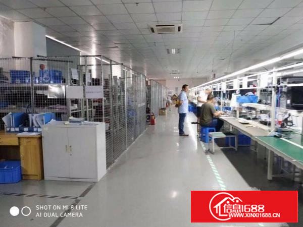 出租塘厦新镇区科苑城附近楼上1200平方精装修，豪华车间办公