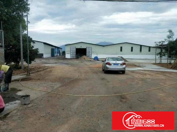 惠阳新墟3700平原房东独栋钢构高8米空地大可分租