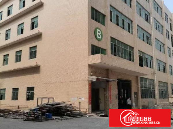 大朗镇新出超大空地独院厂房