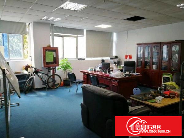 坂田上雪科技园精装厂房2004501000平招租