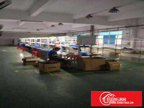 惠州新圩原房东独院厂房分租一二楼2000平方出租