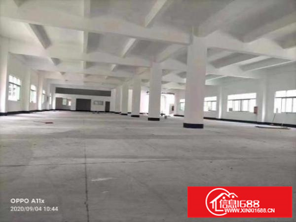 安良独门独院厂房12800平方、大小可分租、适合各行各业