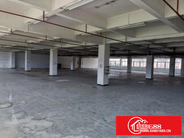 出租高埗冼沙莞潢中路二楼带电梯