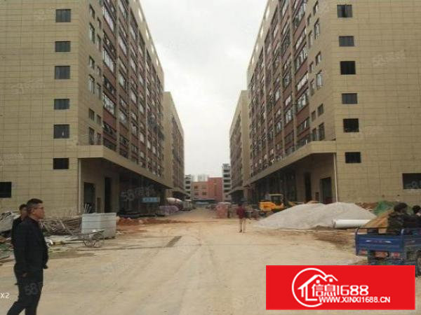 桥头镇全新标准厂房高新行业新型材料生物医疗智能产业互联网科技