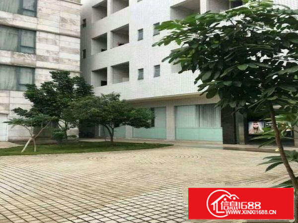 笋！博美工业区1780平方豪华装修5.5米高1楼厂房出租啦！