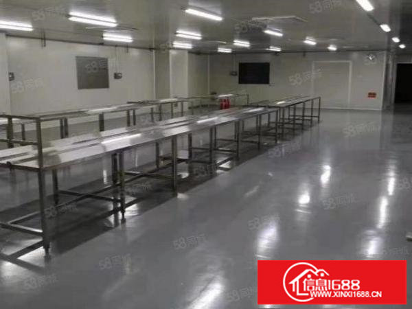 大浪裕景泰工业园原房东无公摊600平三楼带精装修无尘车间厂房