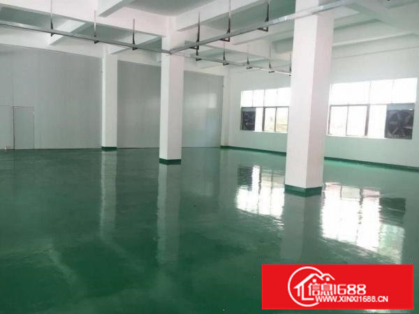 南联6米高一楼1000平米厂房招租可装峰谷表可分租