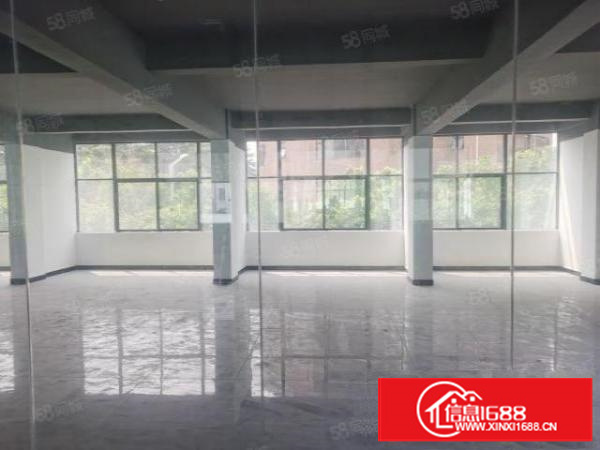 万江简沙洲工业区新出独门独院标准厂房4500平方