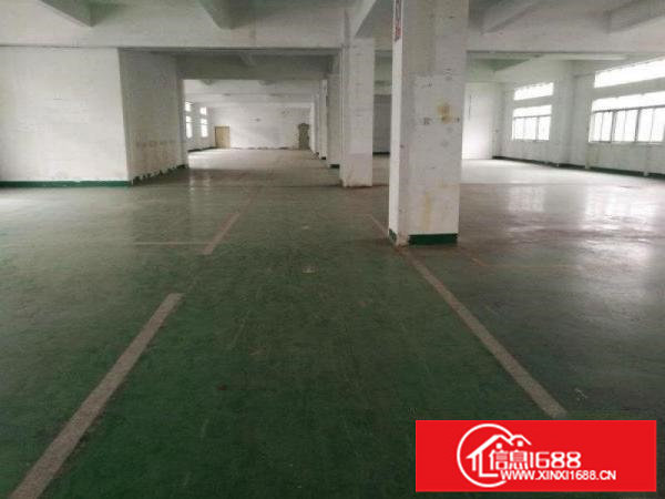 坪山15500平米原房东独院厂房招租