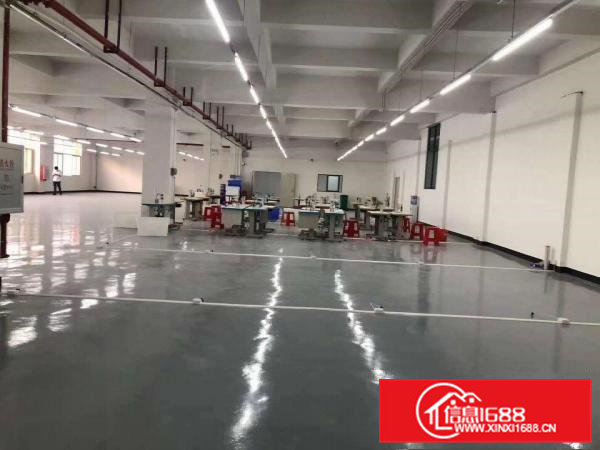 寮步华南城分租一楼460平，楼上1465平豪华装修全新地坪漆