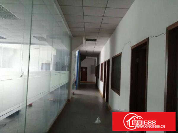 石排田寮单一层独院混凝土结构2000平方招租，空地3000平