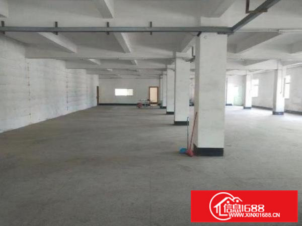 标准厂房二楼1500平方只租九元