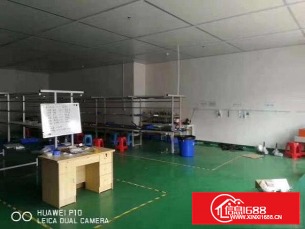 出租长安厦边300平厂房招租，临近虎门，交通便利，主线已拉