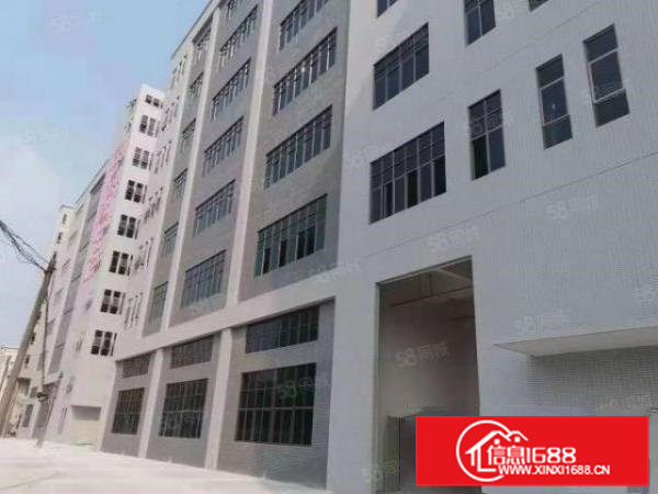 东坑迎宾路新空厂房600平全新绿地漆带货梯及消防喷淋