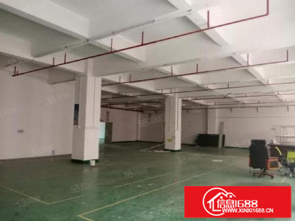 福永大洋田原房东红本楼上560平厂房招租带装修无转让费