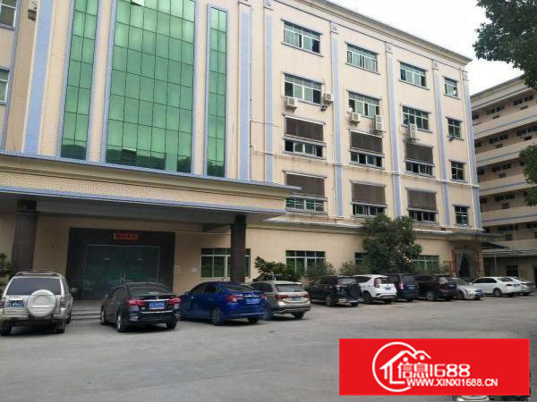 茶山花园式工业厂房新出二楼整层2250平方豪华办公室