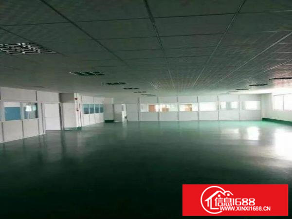 布吉原房东楼上1300平方精装修厂房出租大小面积按需组合