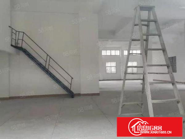 大岭山金桔村原房东自建独栋两层1000方标准厂房出租