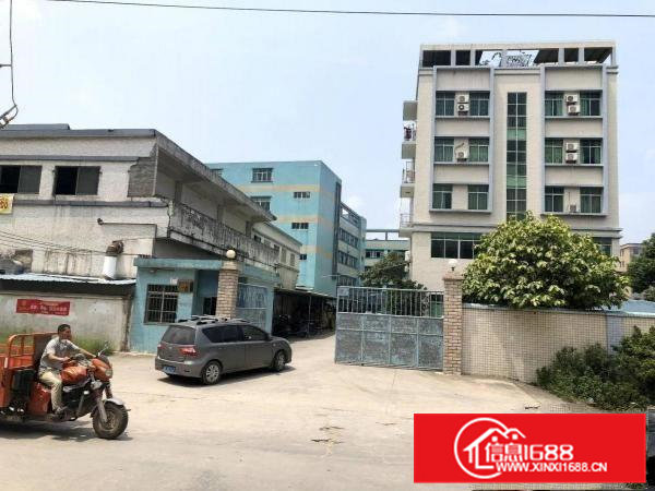 石排新出原房东独门独院标准厂房出租