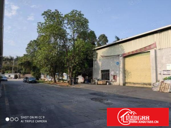 龙岗坪地原房东钢构厂房800平出租出租出租，7米高带牛角