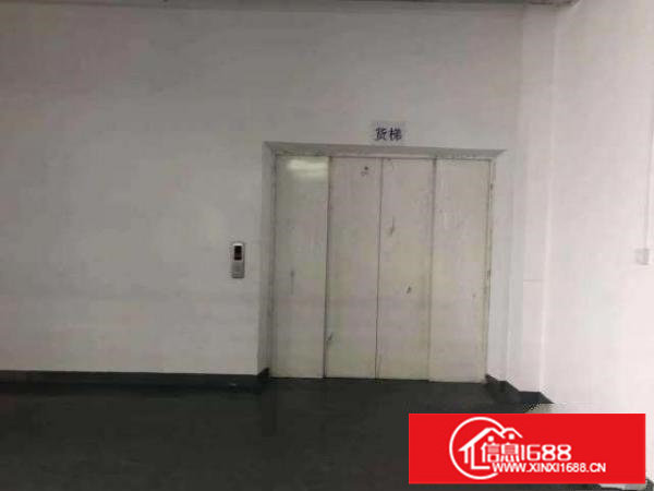 龙岗坪地低碳城旁花园式厂房适用于生物医疗研发实验室等