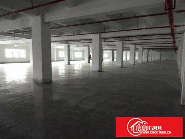 布吉甘坑新出（原房东）2000平厂房6米高带地坪漆消防喷淋