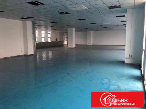 坪山大工业区豪华办公厂房招租！150平起租！已隔好！有红本！