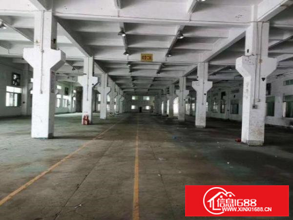 清溪九乡标准一楼注塑模具冲压厂房出租2400平可装峰谷