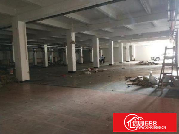 中介勿扰！一楼实用面积1300，看得懂的老板速联系