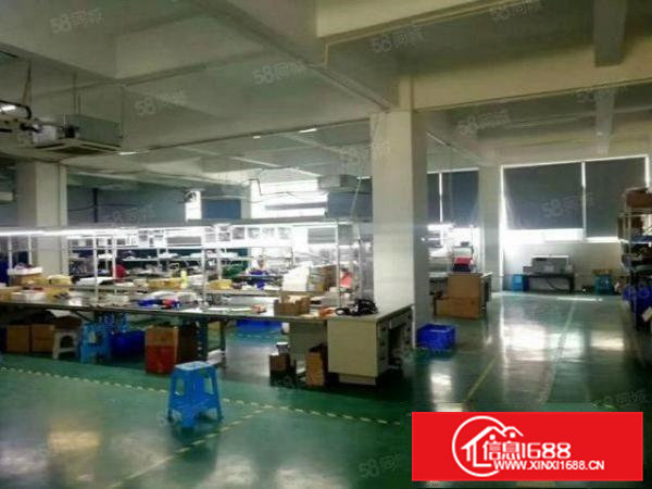 清溪三中新出原房东可以办环评楼上850平带装修空地大