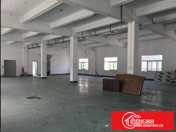 桥头屋厦标准厂房二楼850平