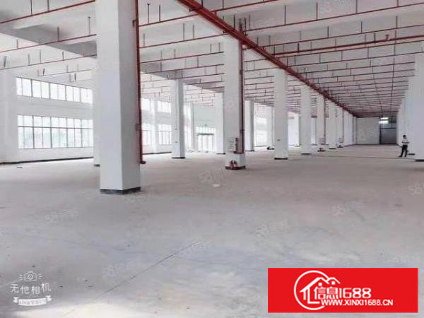 空地大带卸货平台清溪罗马一二楼各5800平带消防喷淋厂房
